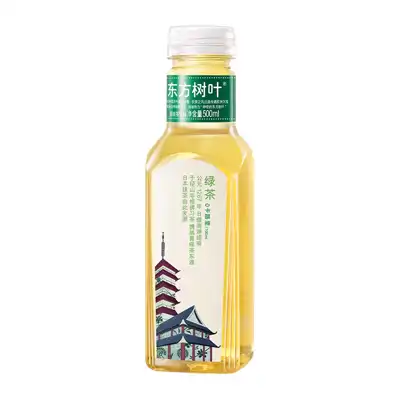 东方树叶绿茶500ml