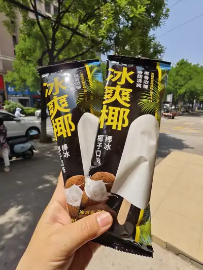 蒙牛冰爽椰
